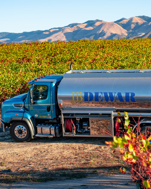 JB Dewar in the vinyards JB Dewar in the vinyards